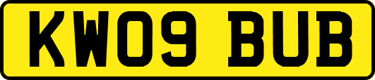 KW09BUB
