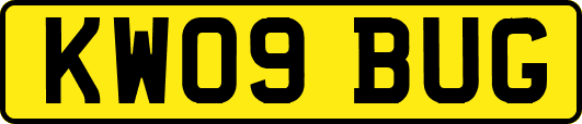 KW09BUG