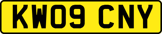 KW09CNY