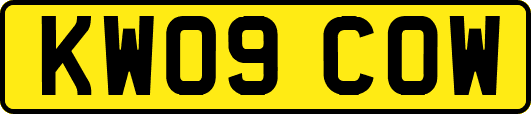 KW09COW