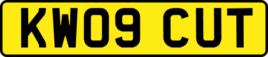 KW09CUT