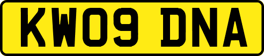 KW09DNA