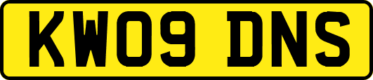KW09DNS