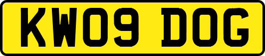 KW09DOG