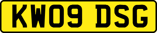 KW09DSG