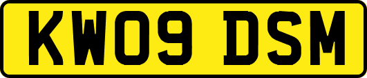 KW09DSM