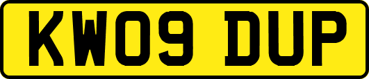 KW09DUP