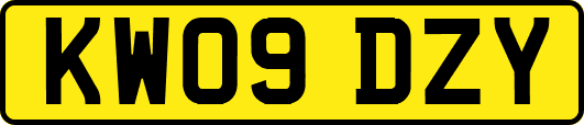 KW09DZY