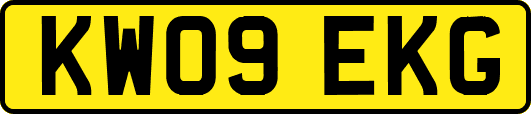 KW09EKG