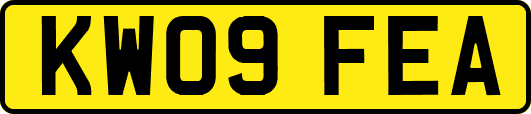 KW09FEA