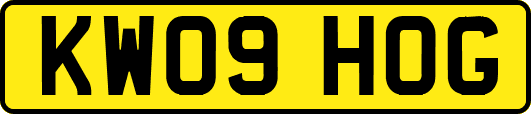 KW09HOG