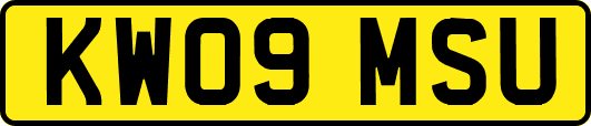 KW09MSU