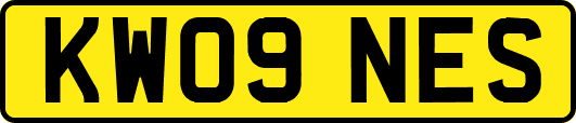 KW09NES