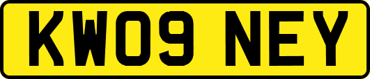 KW09NEY