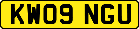 KW09NGU