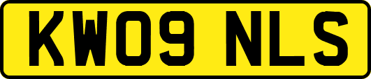 KW09NLS