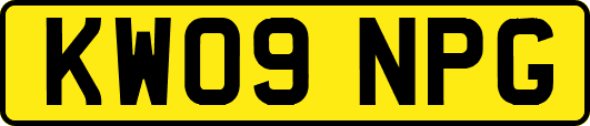 KW09NPG
