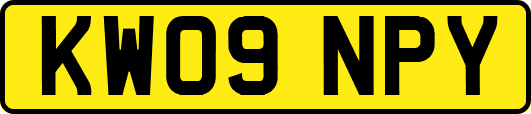 KW09NPY