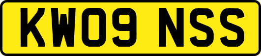 KW09NSS