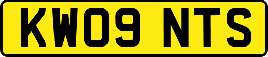 KW09NTS