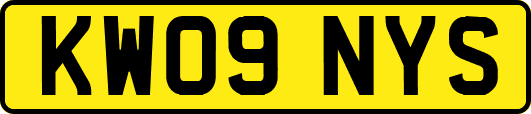 KW09NYS