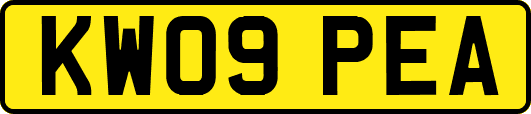 KW09PEA