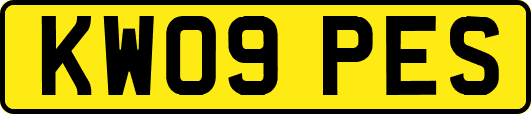 KW09PES