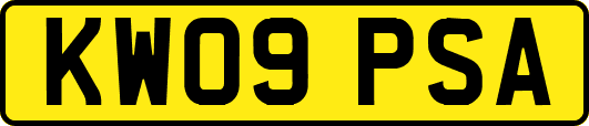 KW09PSA