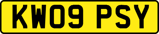 KW09PSY