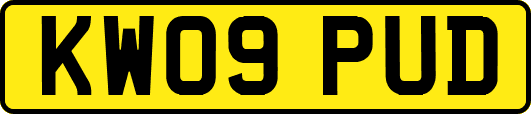 KW09PUD