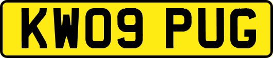 KW09PUG