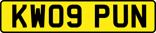 KW09PUN