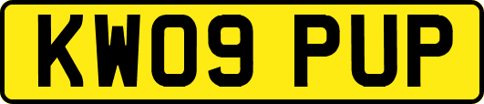 KW09PUP