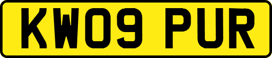 KW09PUR