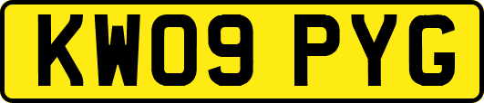 KW09PYG