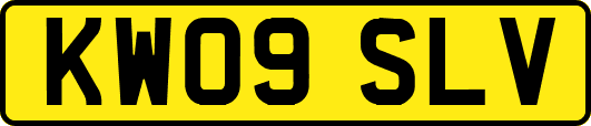 KW09SLV