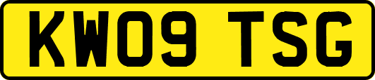 KW09TSG