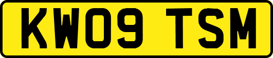 KW09TSM