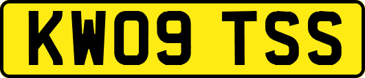 KW09TSS