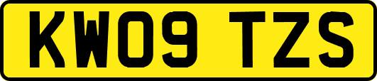 KW09TZS