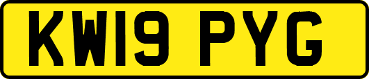 KW19PYG