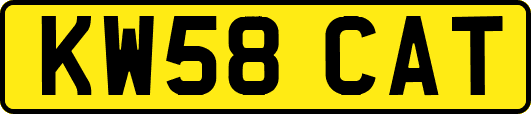 KW58CAT