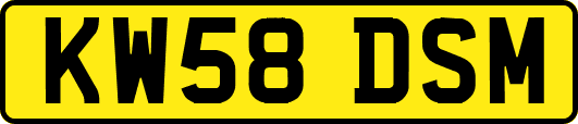 KW58DSM