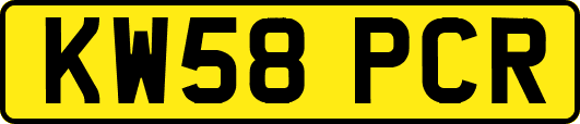KW58PCR