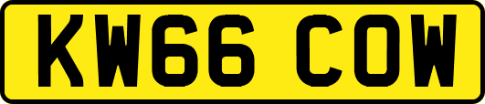 KW66COW