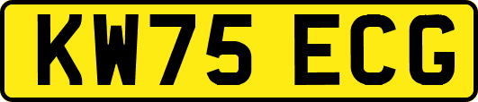 KW75ECG
