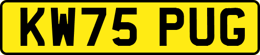 KW75PUG
