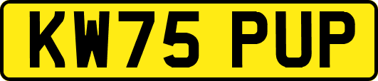 KW75PUP