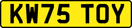 KW75TOY