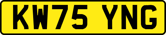 KW75YNG